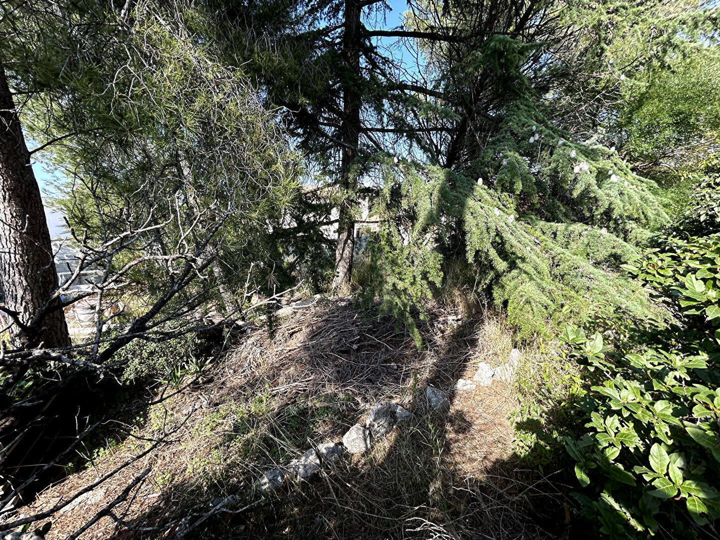 Photo Terrain Marignane 500 m2 image 3/3