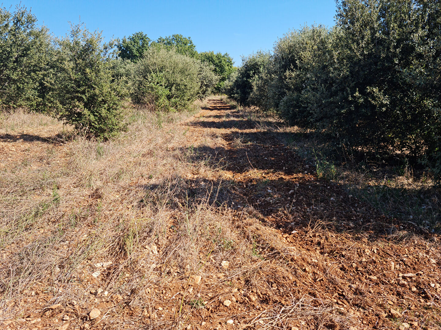 Domaine agricole Villes Sur Auzon