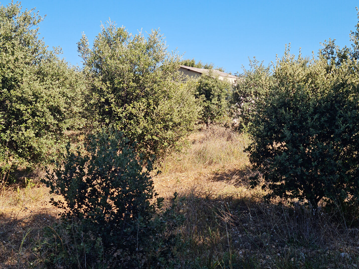 Photo Domaine agricole Villes Sur Auzon image 6/6