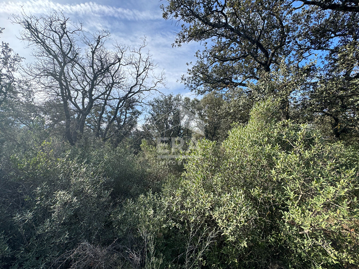 Terrain en zone naturelle Mazan 47 000 m2