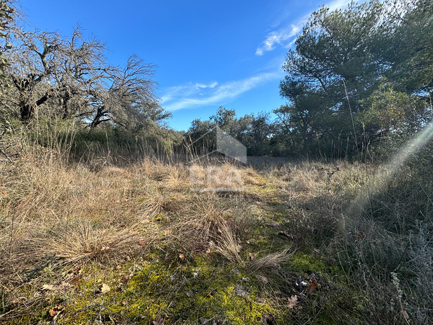 Photo Terrain en zone naturelle Mazan 47 000 m2 image 2/5