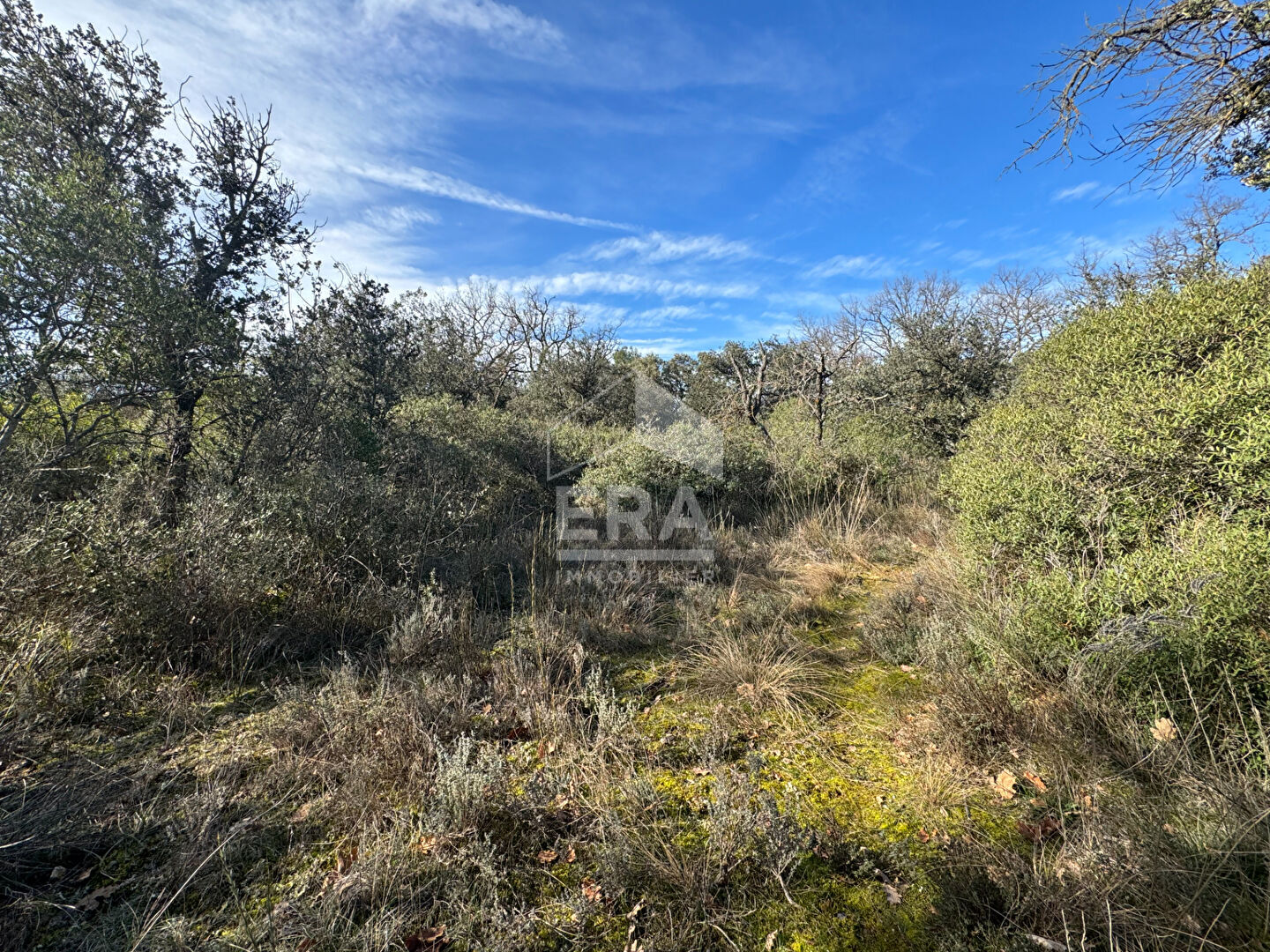 Photo Terrain en zone naturelle Mazan 47 000 m2 image 4/5