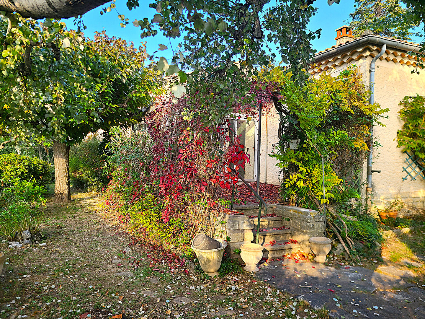 Photo Maison Carpentras image 1/6
