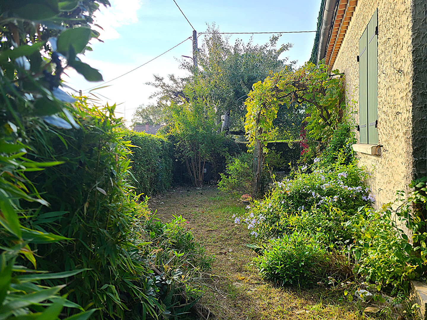 Photo Maison Carpentras image 2/6