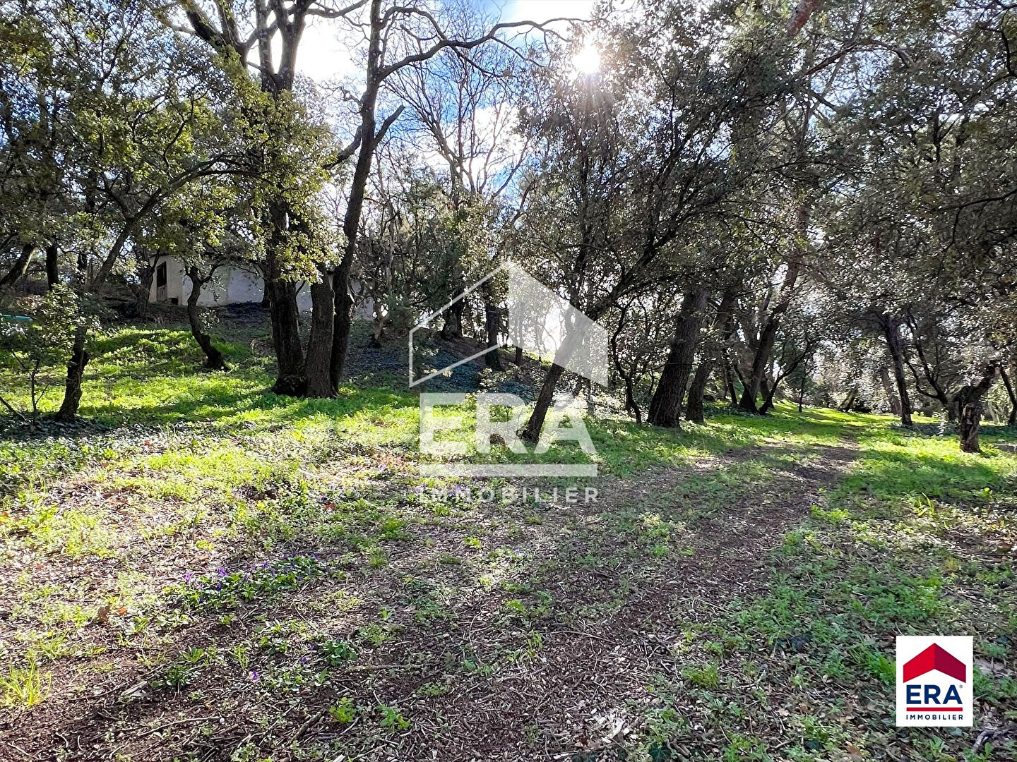 Photo Maison à rénover au coeur de 2 hectares de nature image 3/6