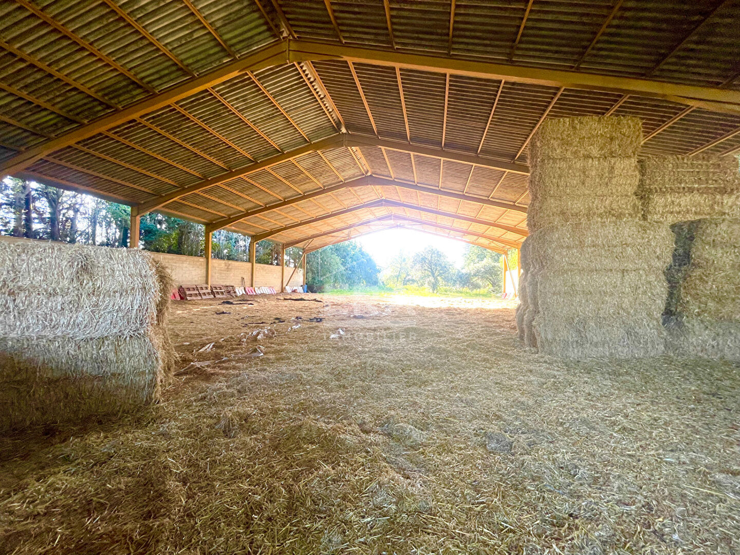 Photo Carpentras, Hangar de 880 m² sur une parcelle de plus de 4 000 m² image 3/4