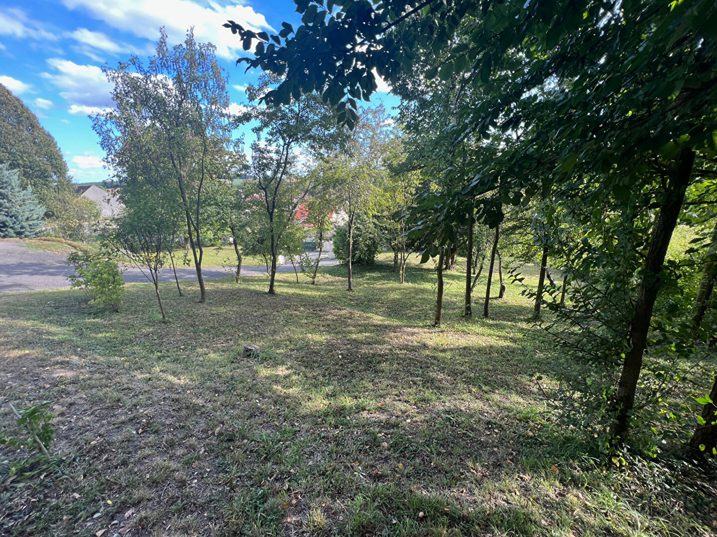 Photo Terrain Donnemarie Dontilly 495 m2 image 3/5