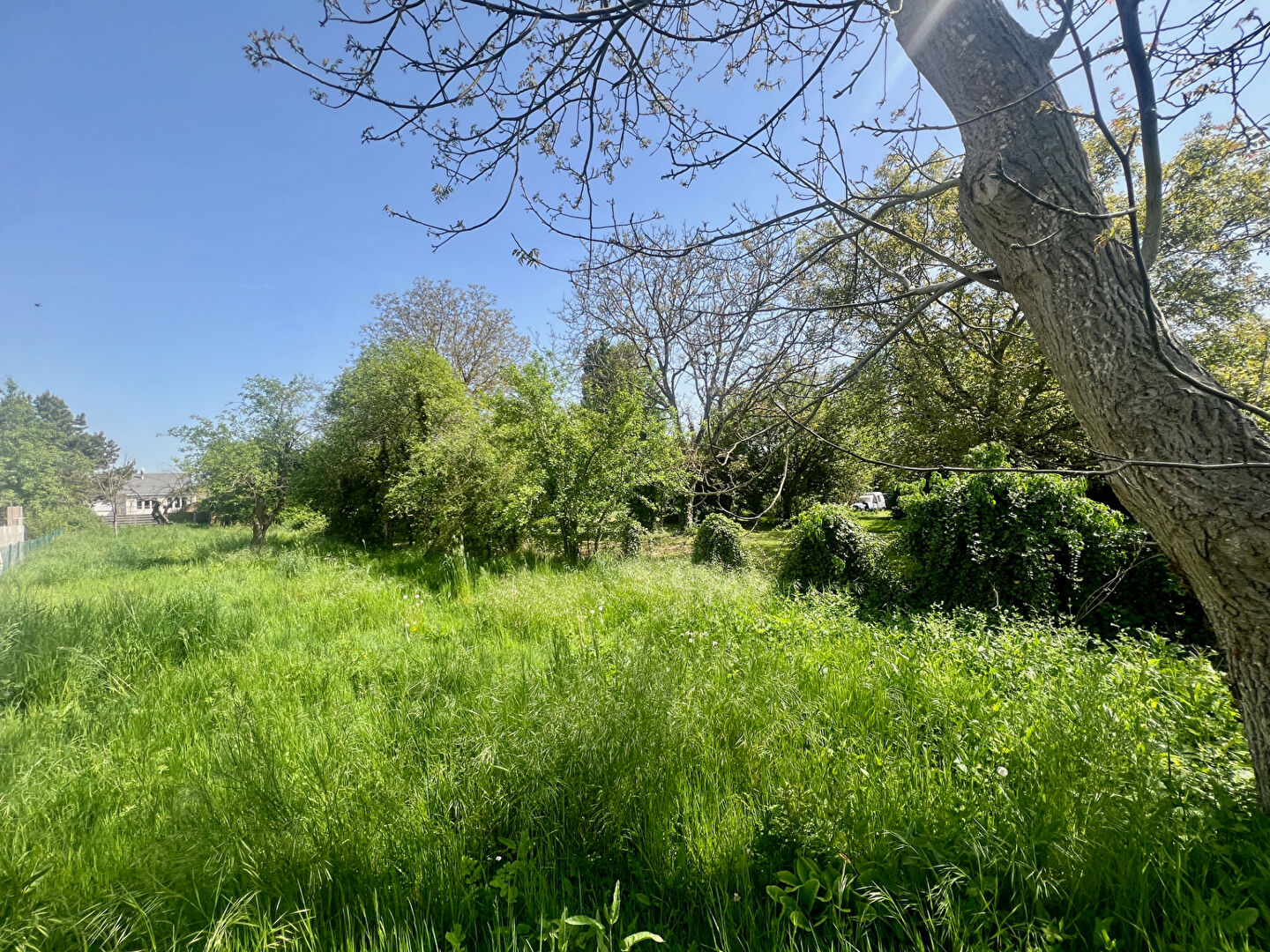 Photo Terrain Dormelles 599 m2 image 2/3