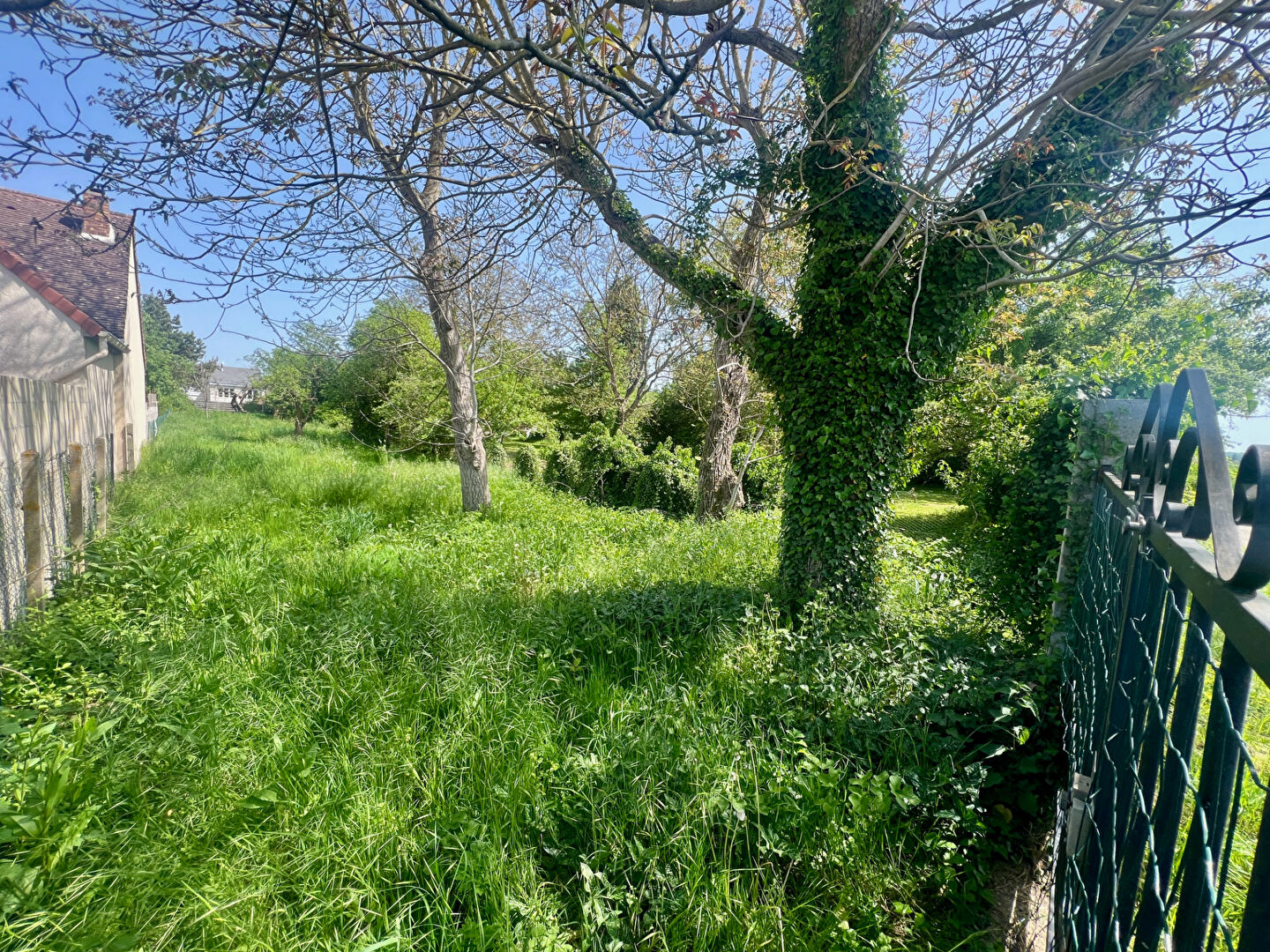 Photo Terrain Dormelles 599 m2 image 3/3