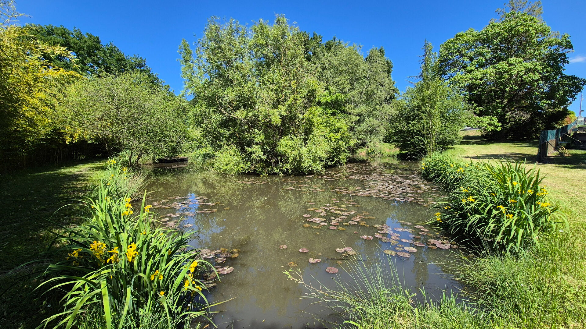 Photo Maison Grisy-Suisnes  6 pièce(s) 190 m2 image 5/6