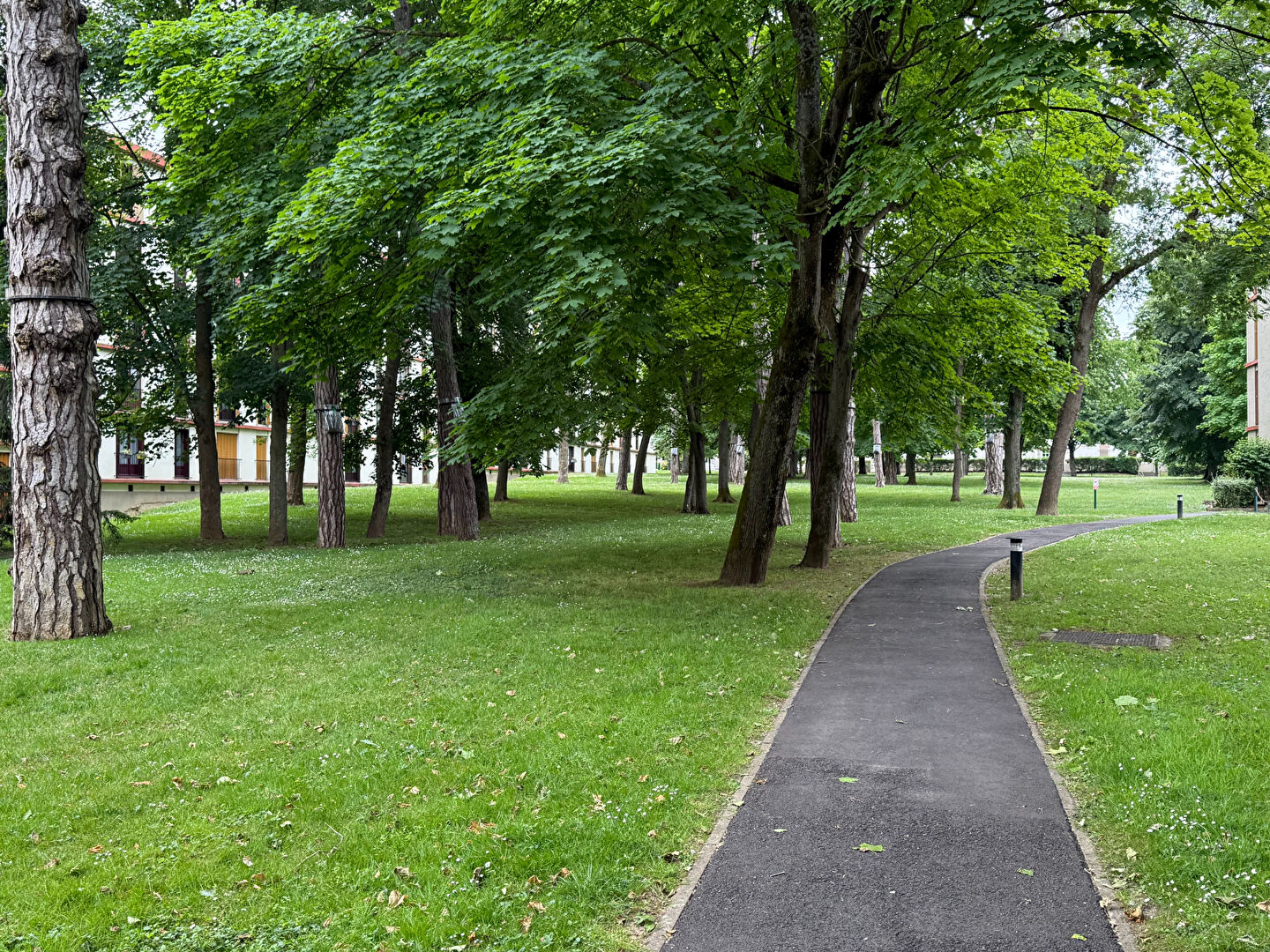 Photo Appartement Brie-Comte-Robert 4 pièce - 3 chambres image 1/6