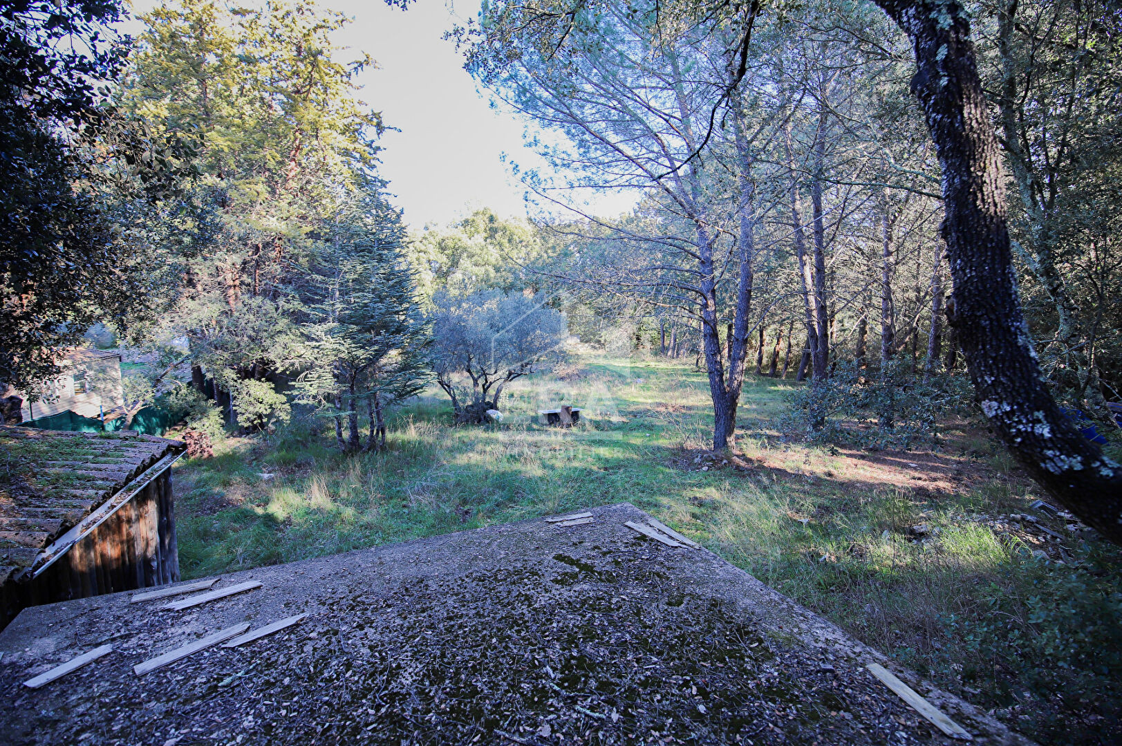 Photo Terrain de loisirs de 3400 m² à Pignans image 4/6