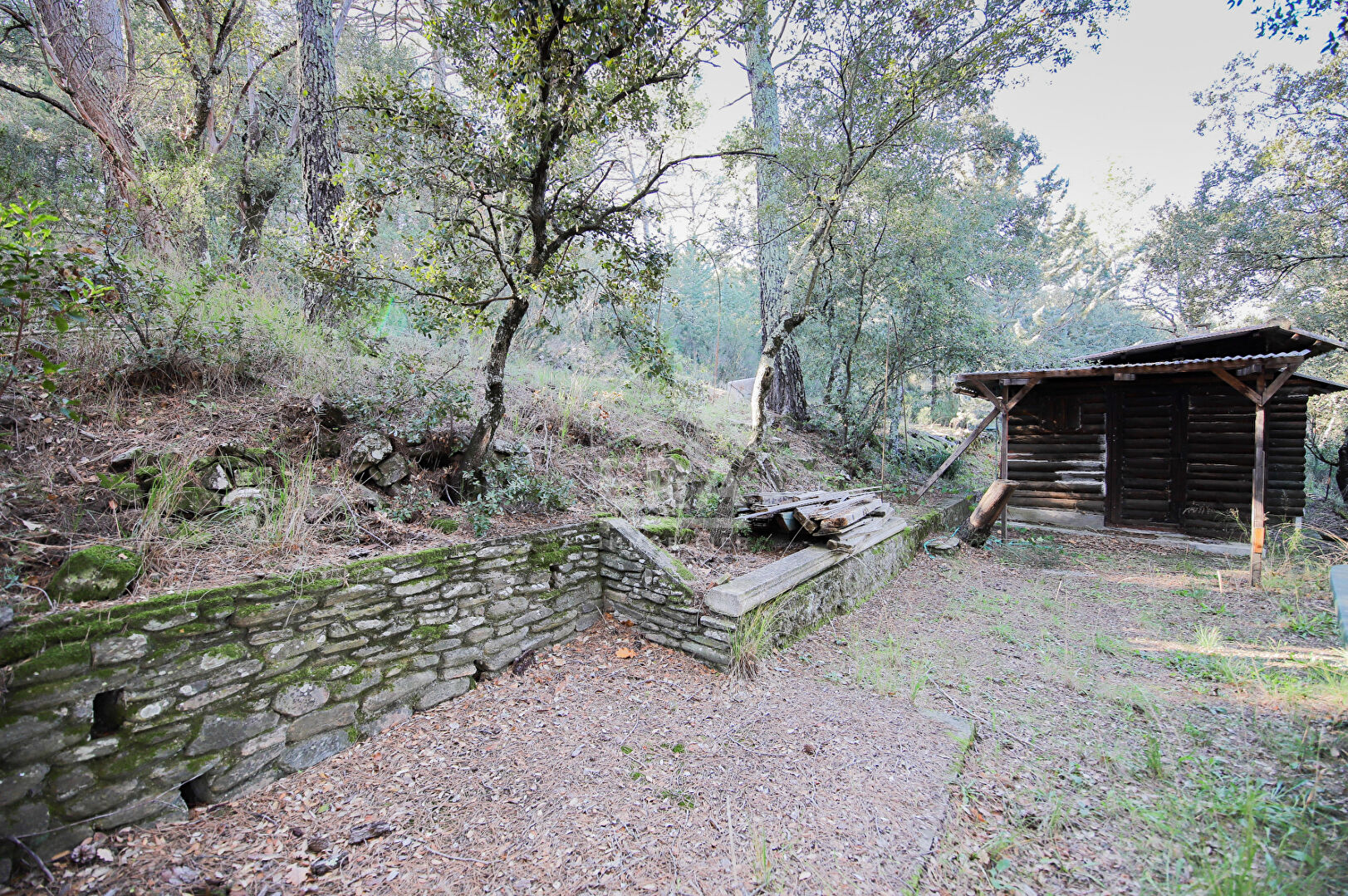 Photo Terrain de loisirs de 3400 m² à Pignans image 6/6