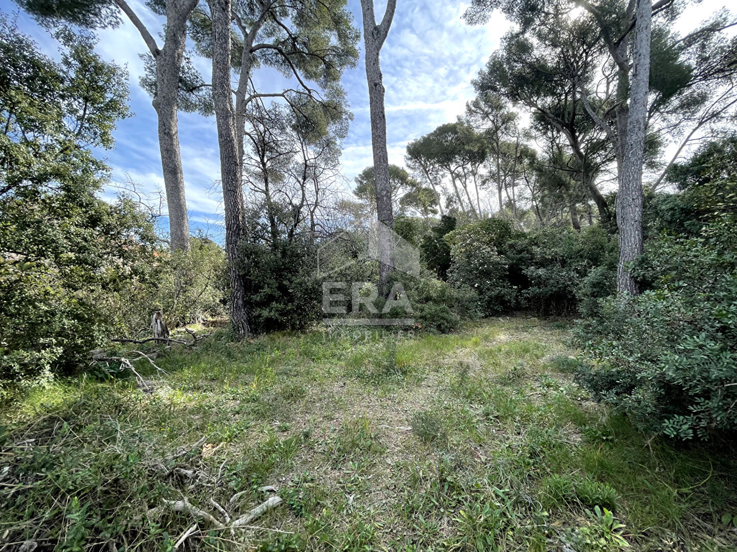 Photo Terrain de 1723 m2 avec transfert de permis de construire image 3/4