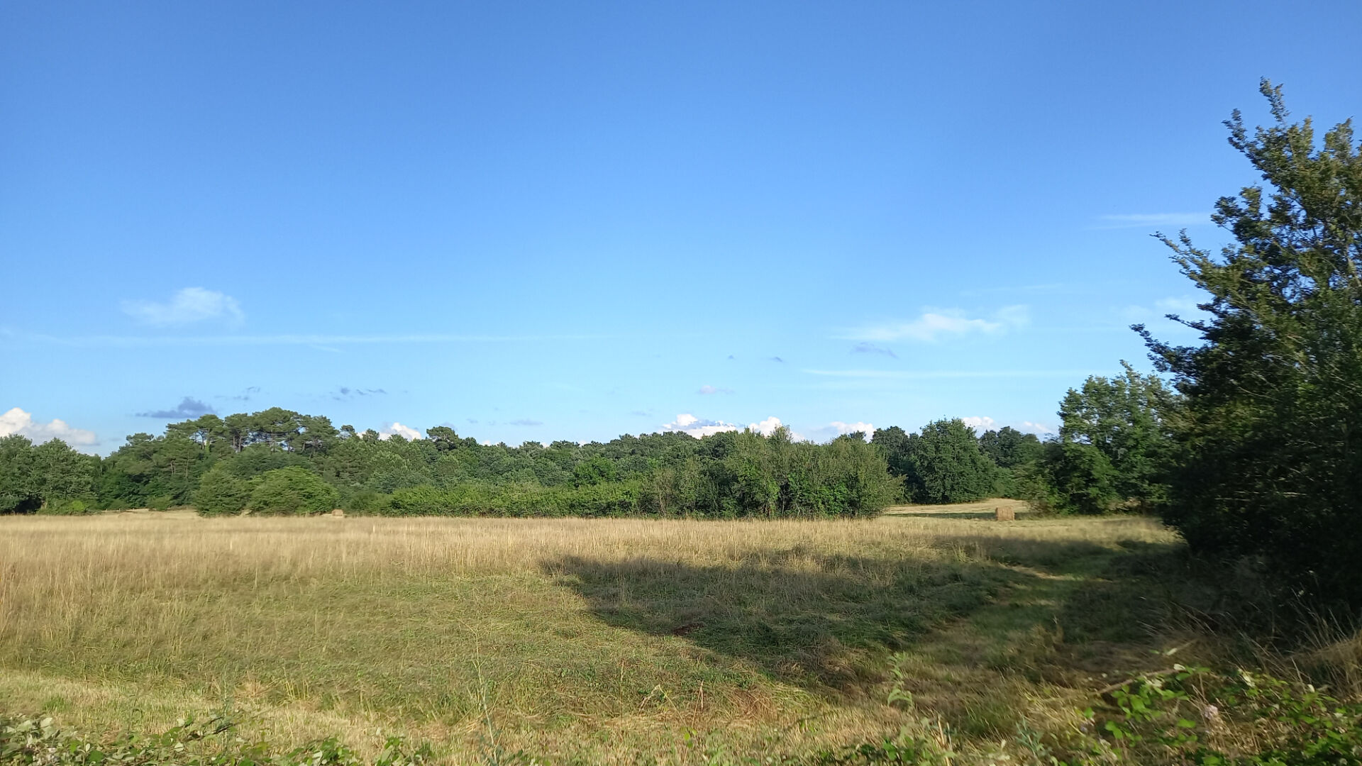 Terrain de 1375 m² dans un village proche de Montpon Ménestérol.