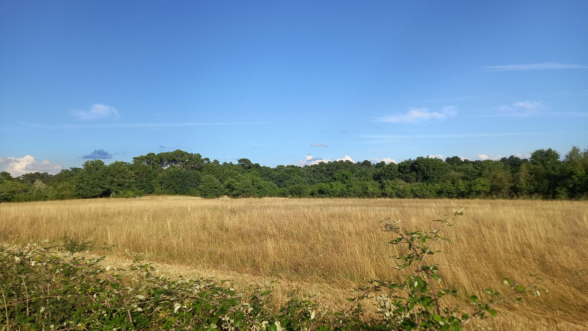 Photo Terrain secteur de la Double de 1740 m2. image 3/3