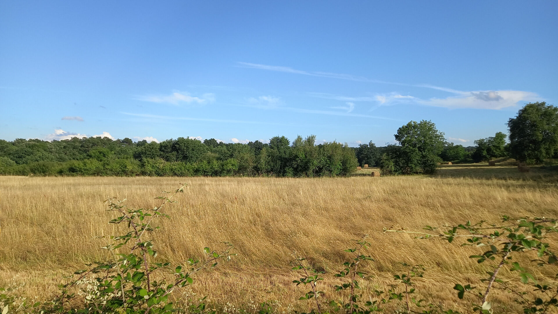 Photo Terrain à 10 minutes de Montpon Ménestérol 1760 m2. image 2/3