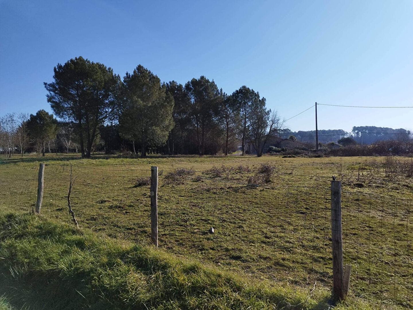 Photo Terrain constructible proche Montpon Menesterol 1500 m2 image 2/2