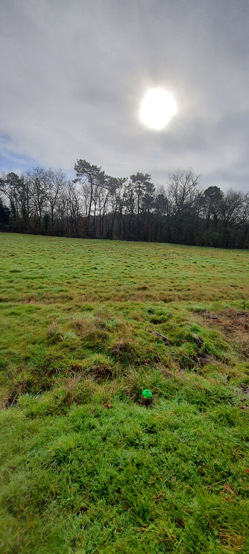 Photo Terrain Secteur Montpon de 3099 m2 image 2/4