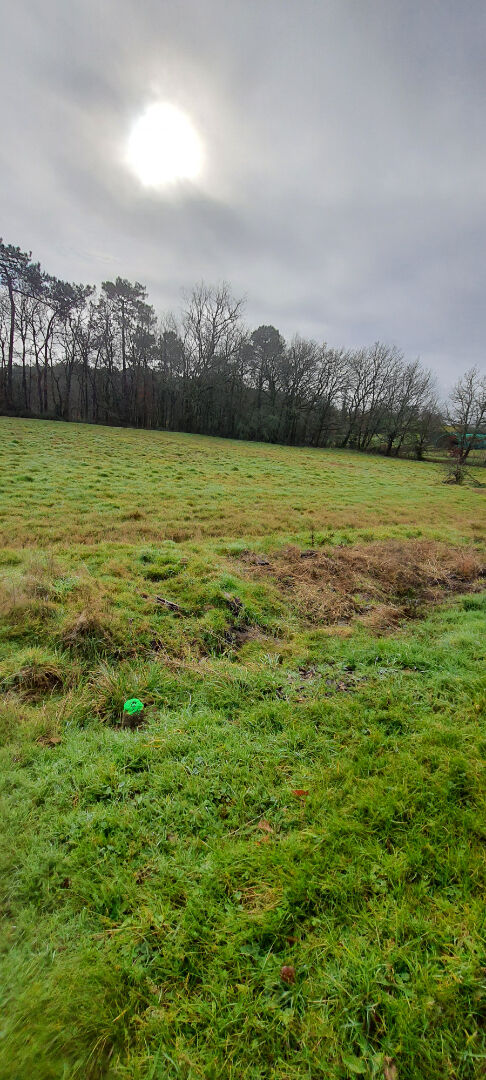 Photo Terrain Secteur Montpon de 3099 m2 image 4/4