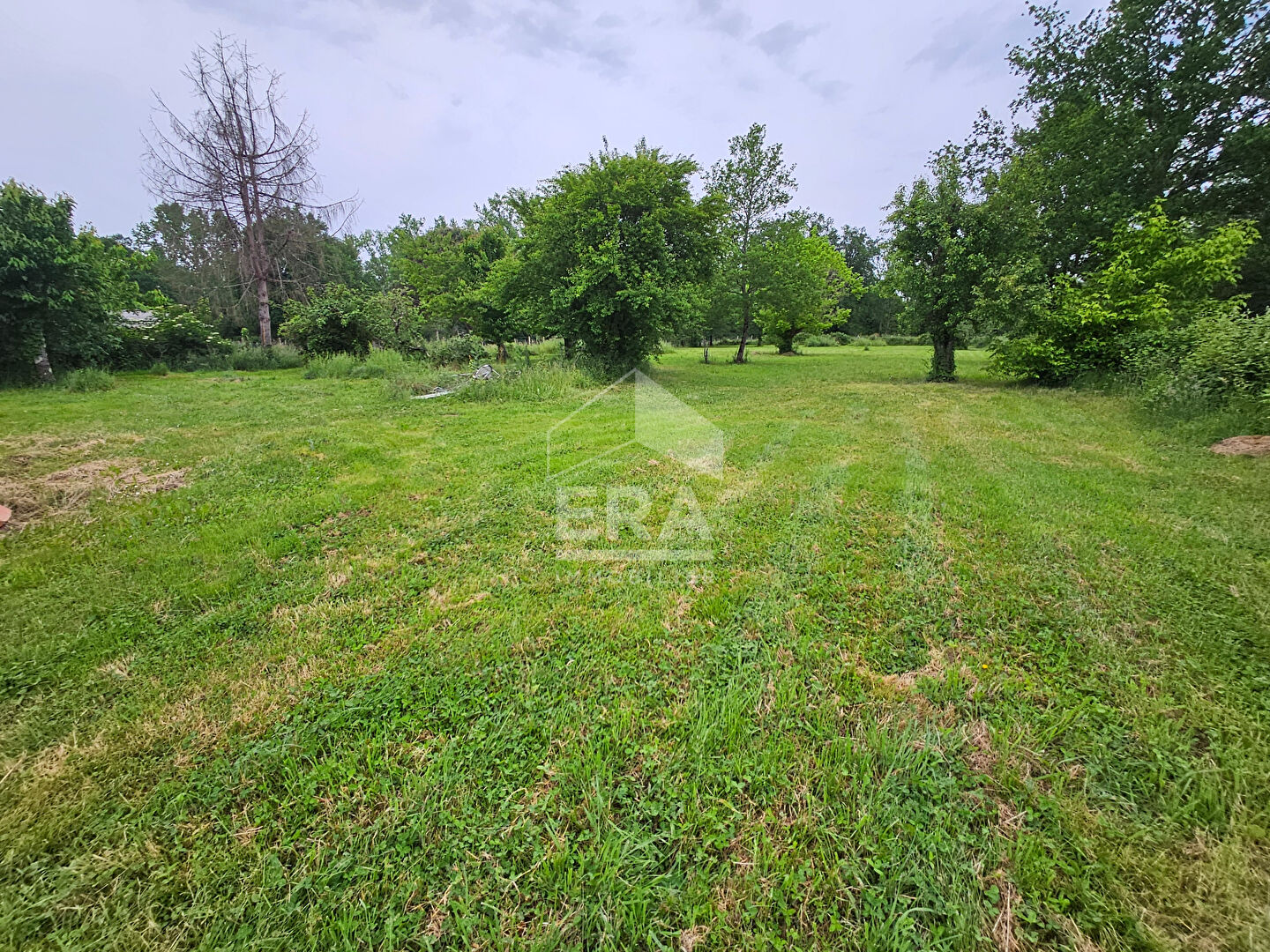 Photo Terrain constructible au calme en seconde ligne image 4/4