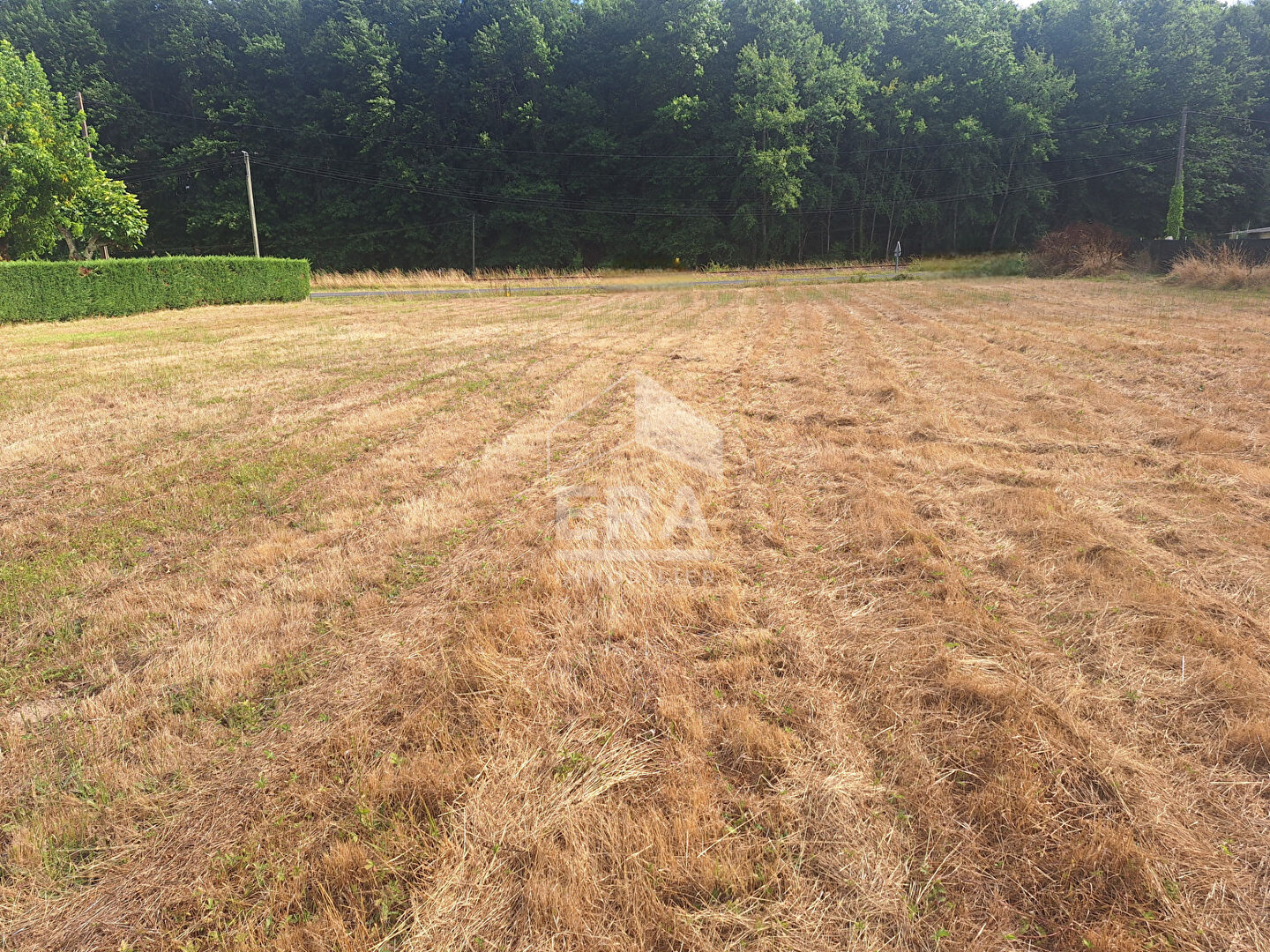 Photo Terrain à 10 minutes de Montpon Ménestérol 2494 m2. image 1/3