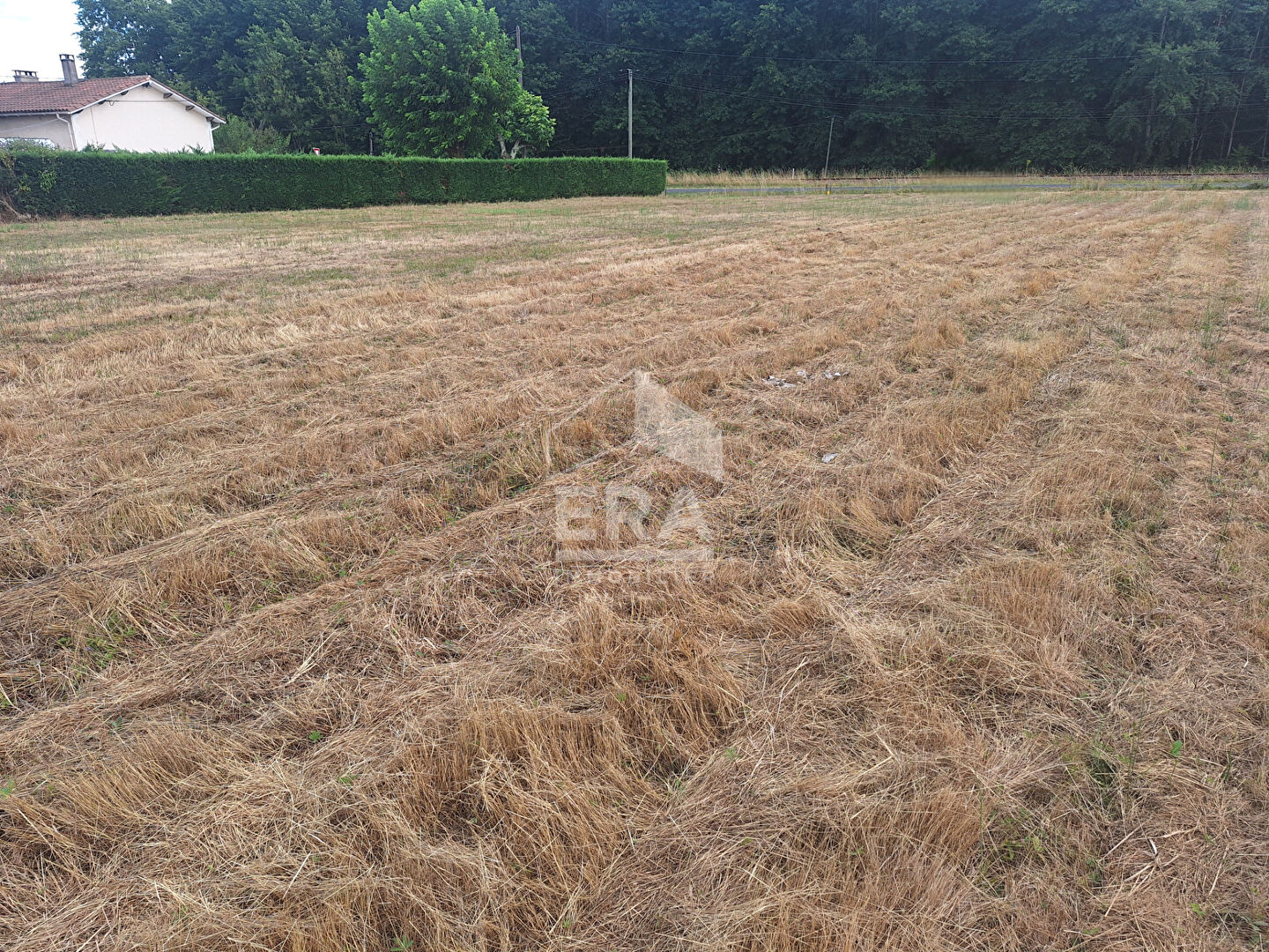 Photo Terrain à 10 minutes de Montpon Ménestérol 2494 m2. image 2/3