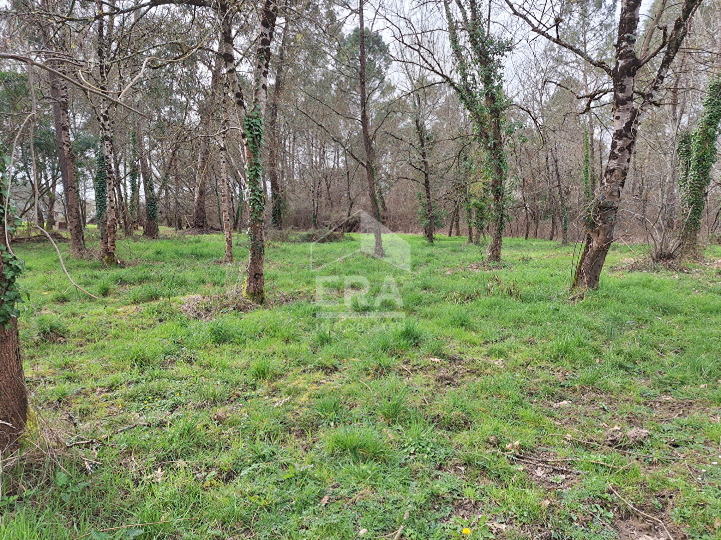 Agence immobilière de ERA RENAUD IMMOBILIER - ERA RENAUD IMMOBILIER