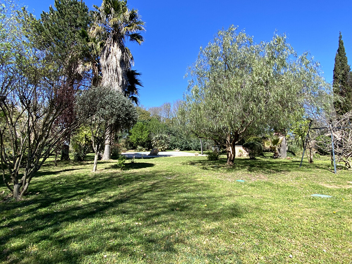 Photo A VENDRE - MONTESQUIEU DES ALBERES - VILLA AVEC PISCINE image 3/6