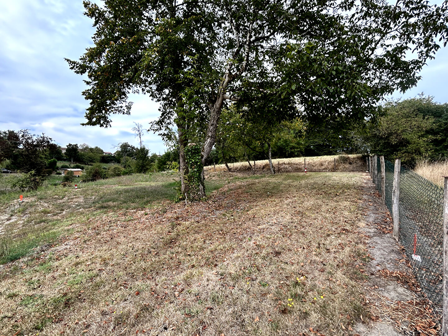 Photo Terrain à Sos pour bâtir, 1461 m2 image 2/4