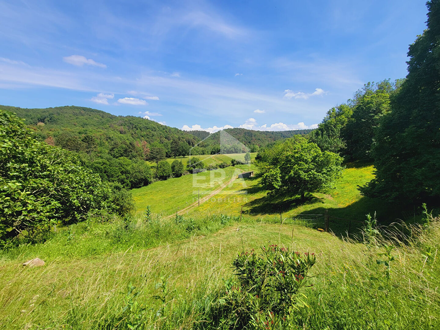 Photo Maison de Prestige à Vendre à Clermont sur Lauquet image 4/6