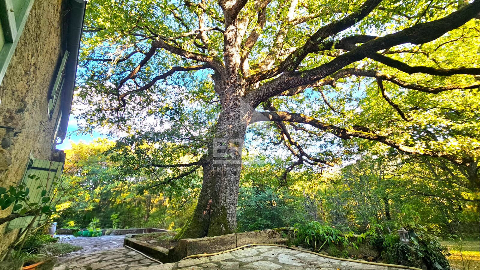 Photo Propriété Villelongue-d'aude image 6/6