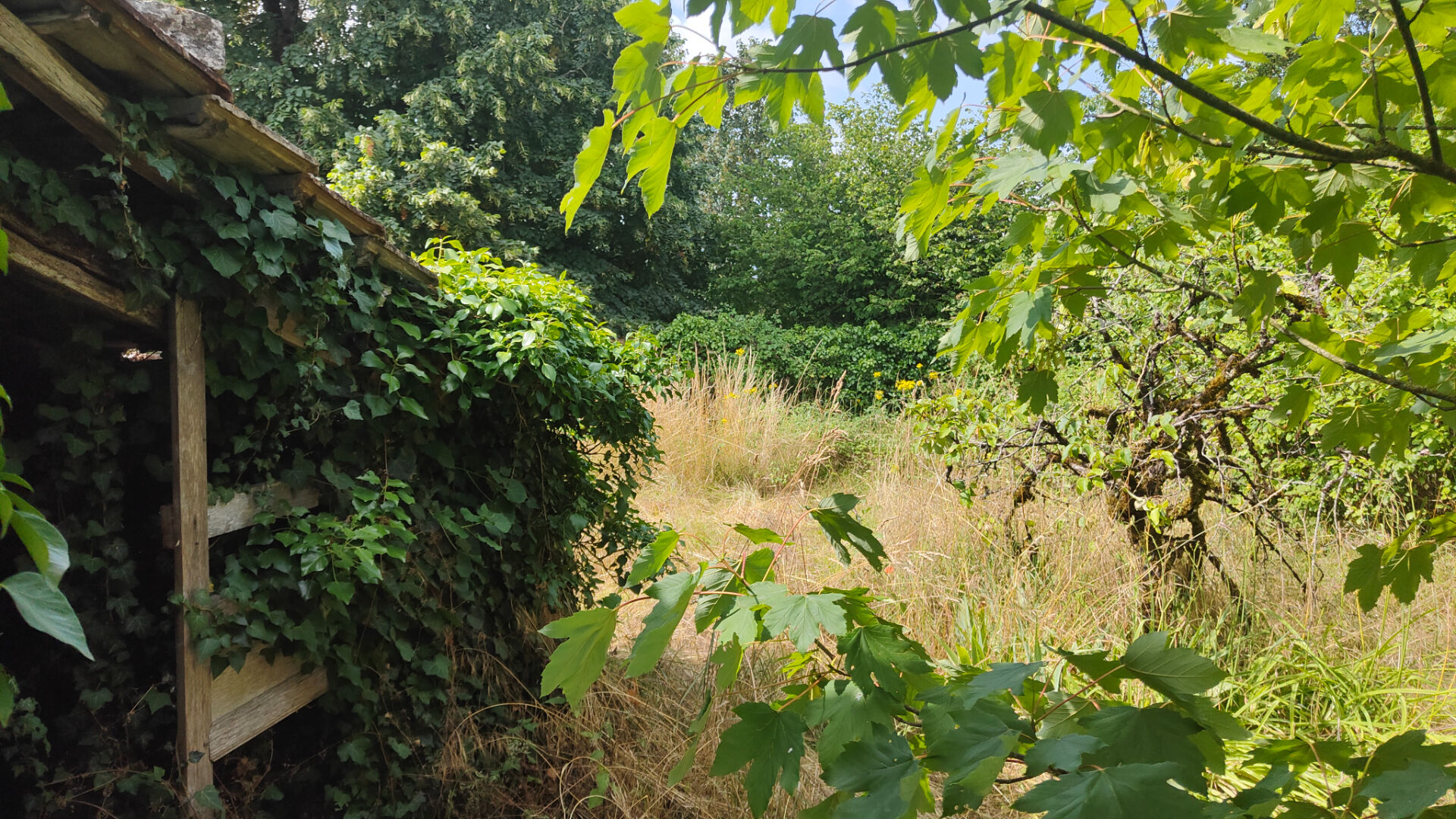 Photo Maison de ville Ruffec image 5/6