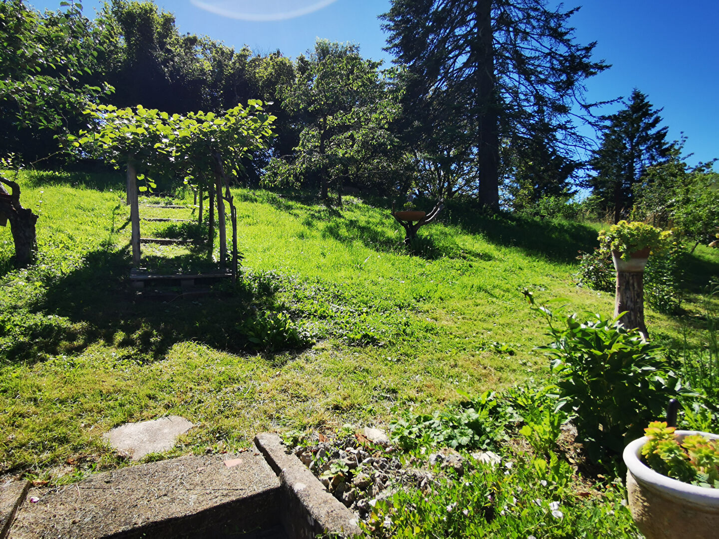 Photo Maison de ville à Civray proche des commerce image 2/6