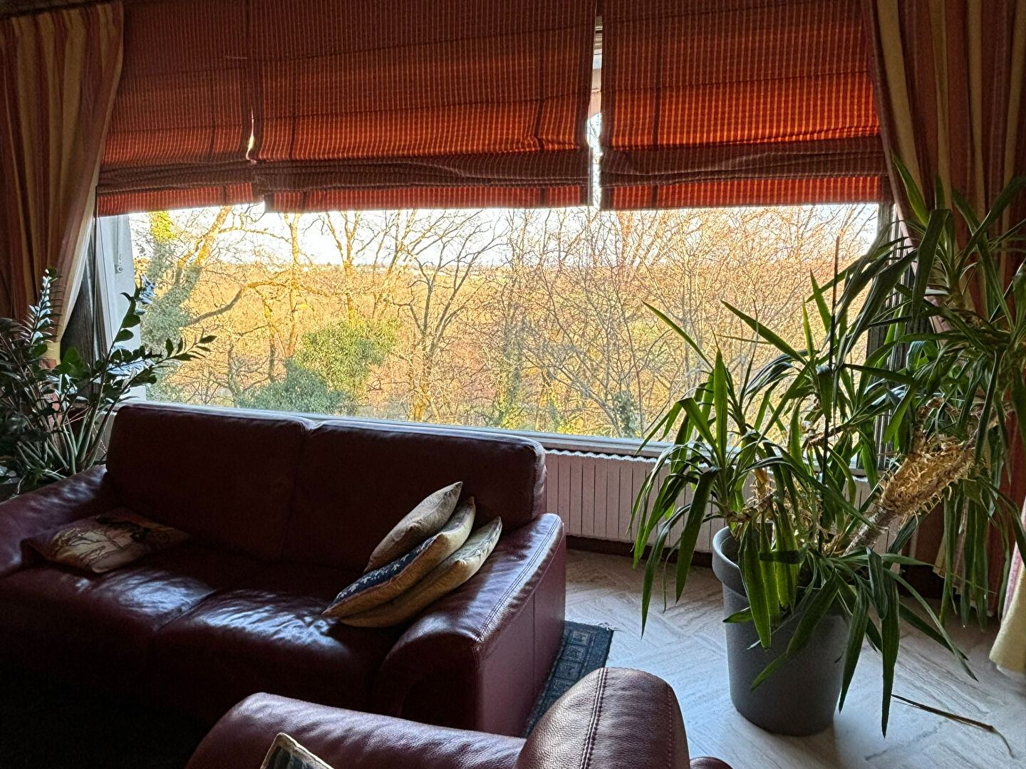 Photo Grande maison Civray image 5/6