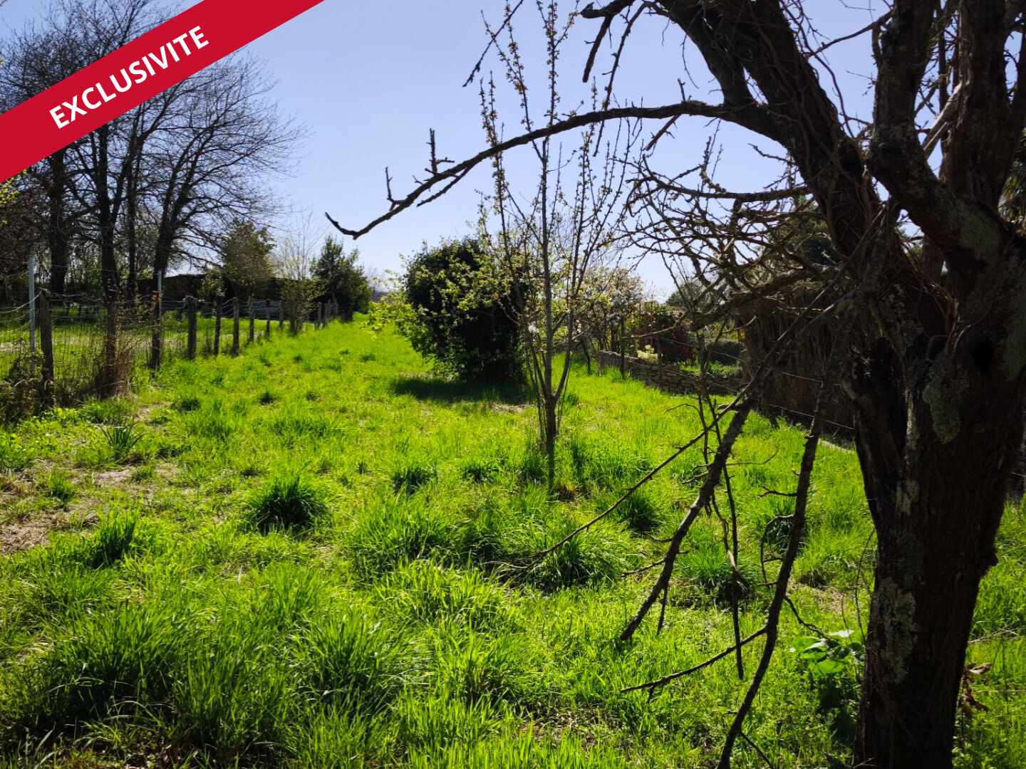 Photo Maison à rénover sur Civray image 4/6