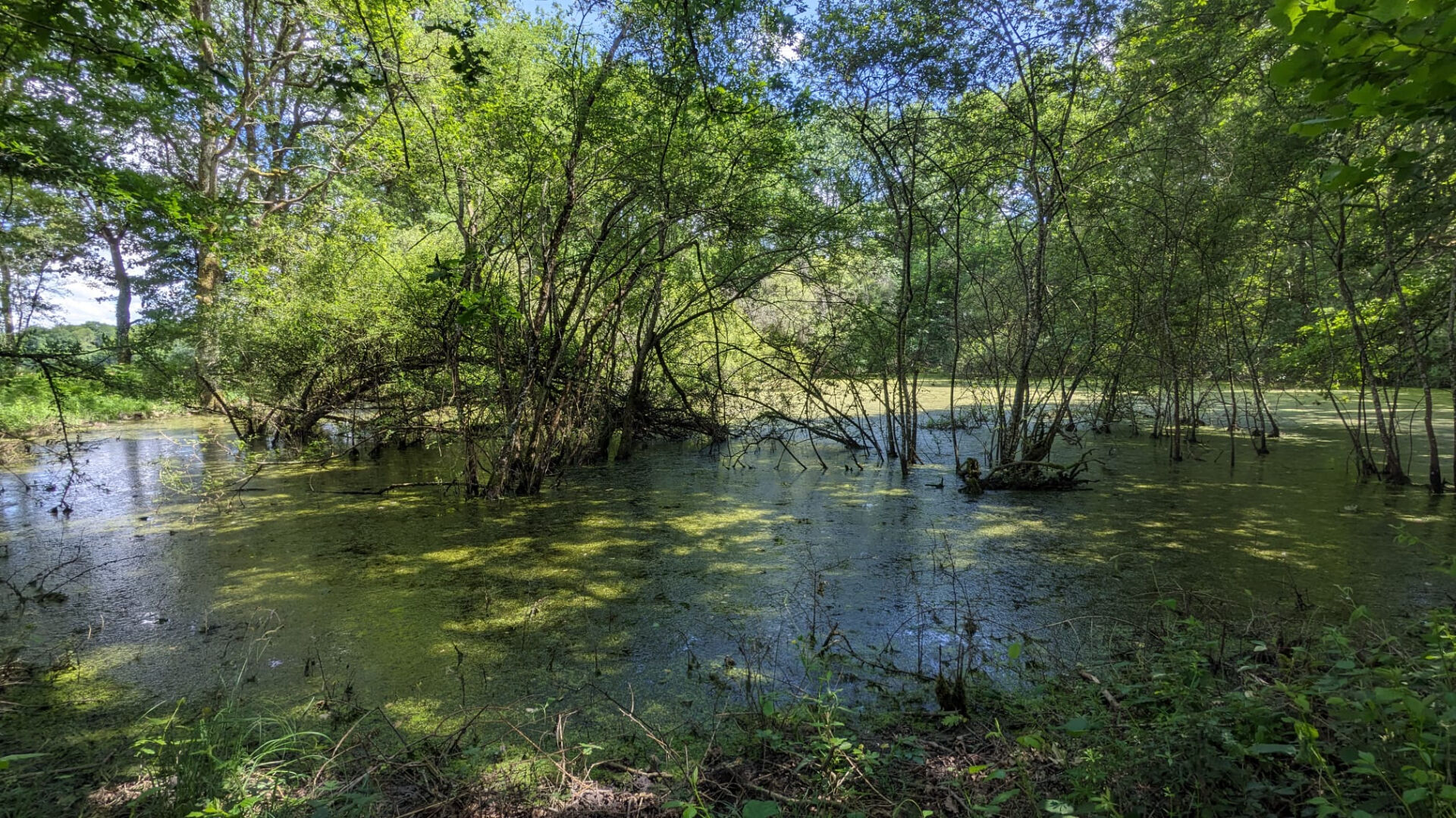 Photo Terrain de loisirs - Usson Du Poitou - 45170 m2 image 2/6