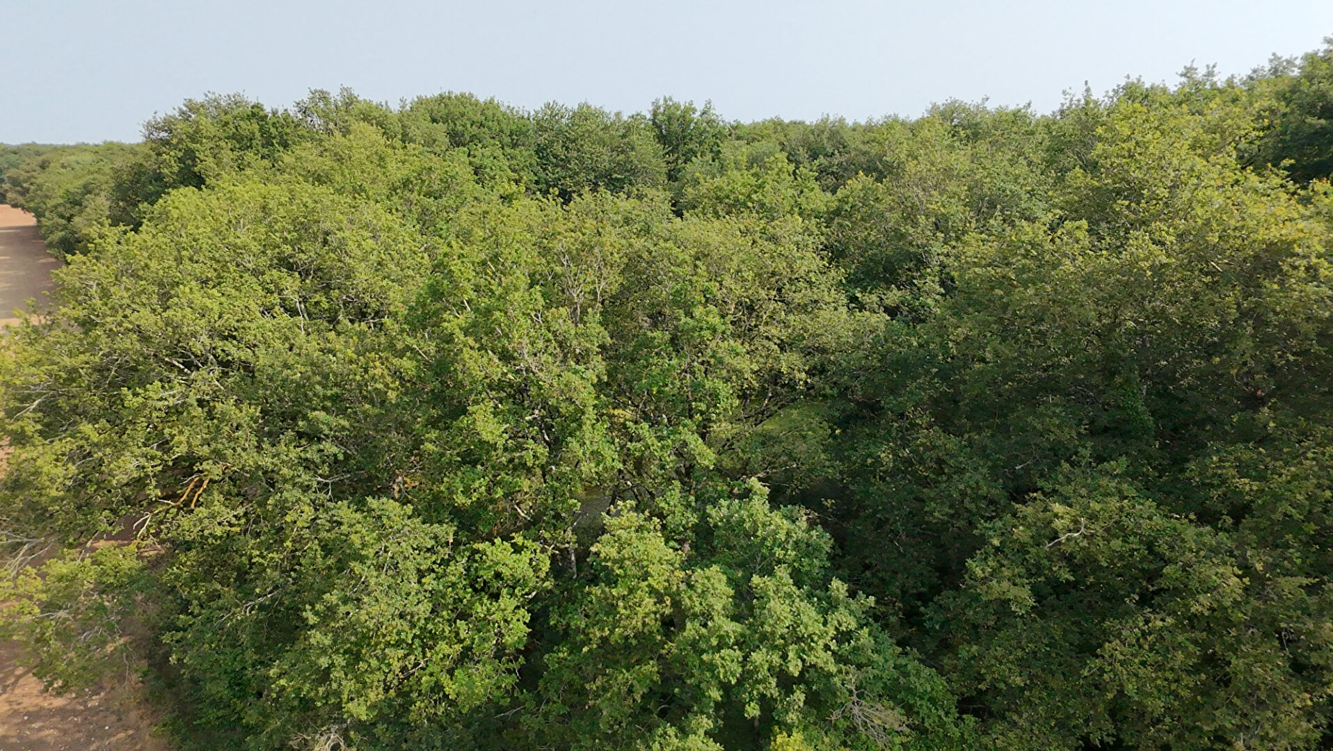 Photo Terrain de loisirs - Usson Du Poitou - 45170 m2 image 3/6