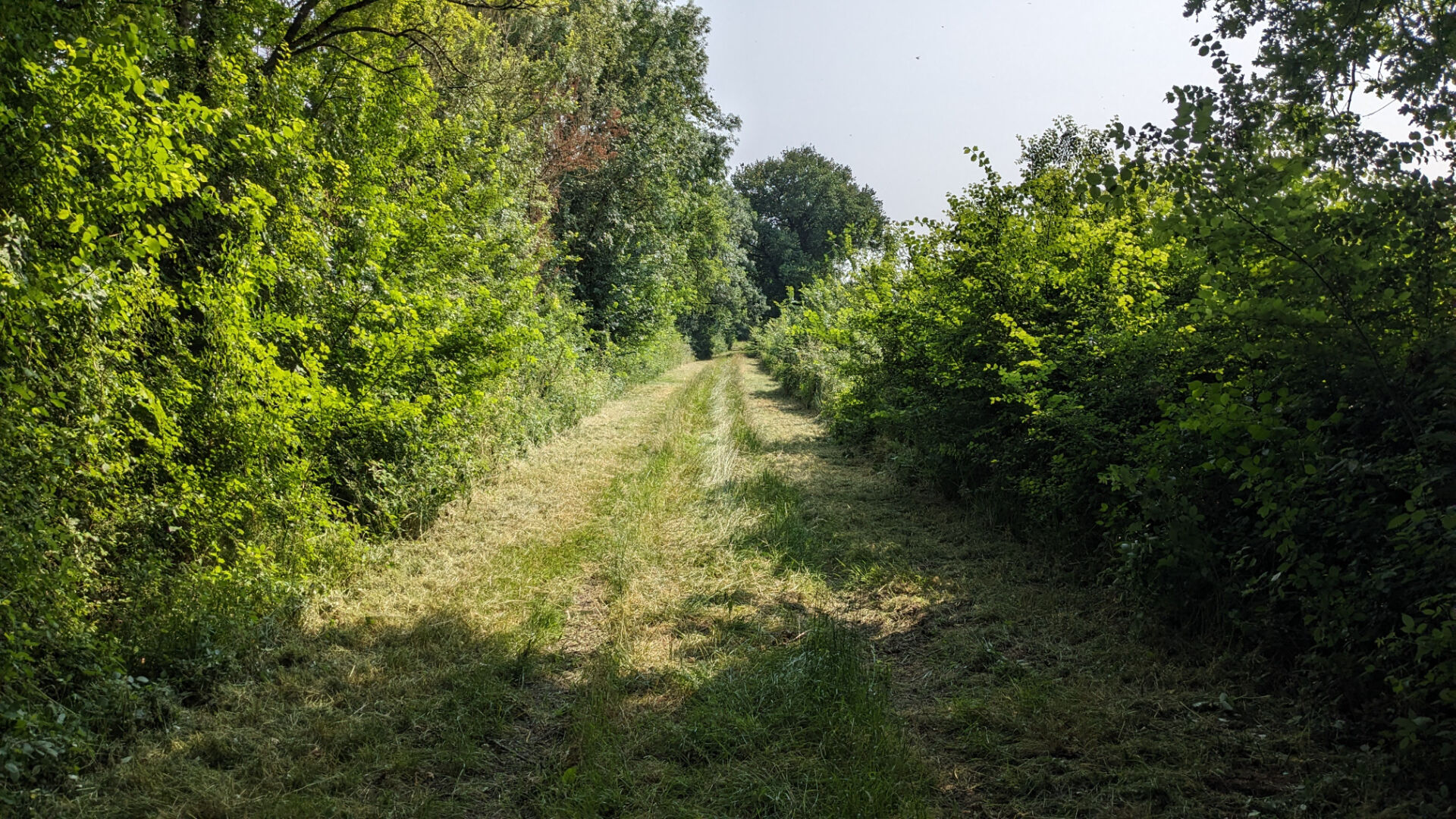 Photo Terrain de loisirs - Usson Du Poitou - 45170 m2 image 5/6