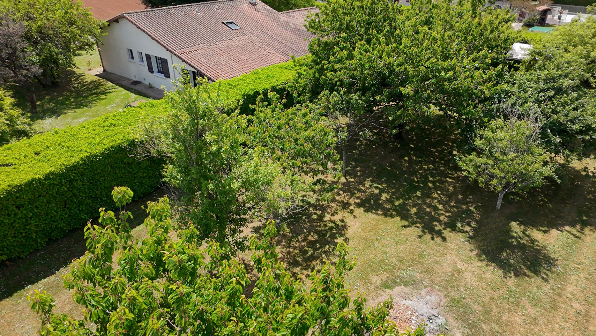 Photo Pavillon plain-pied image 3/6