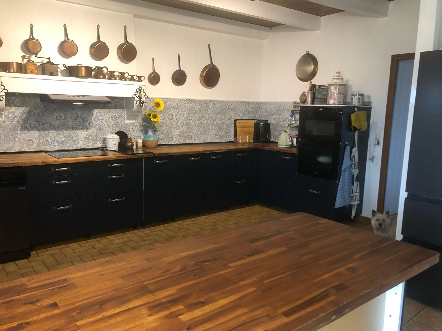 Photo Maison Pleuville 6 pièce(s) 257 m2 image 2/6