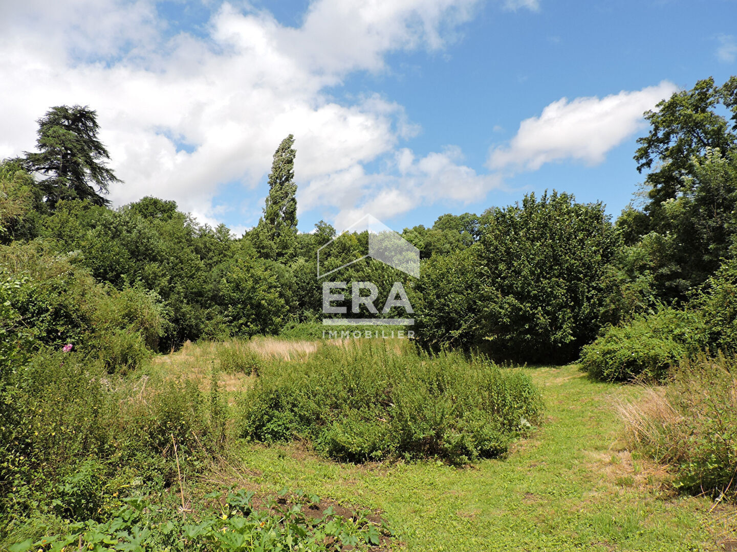 Photo Moulin 558 m² - 3 salles de réception, île 3000m² image 5/6