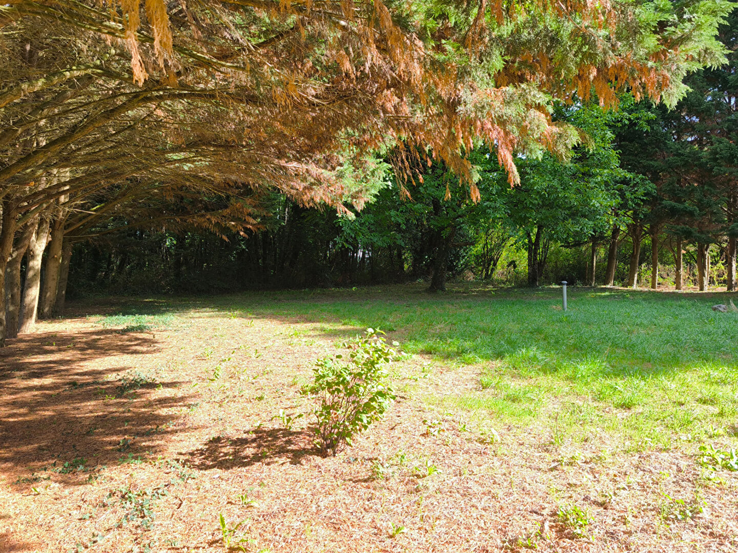 Photo Maison Brux 5 pièce(s) 156 m2 image 5/6