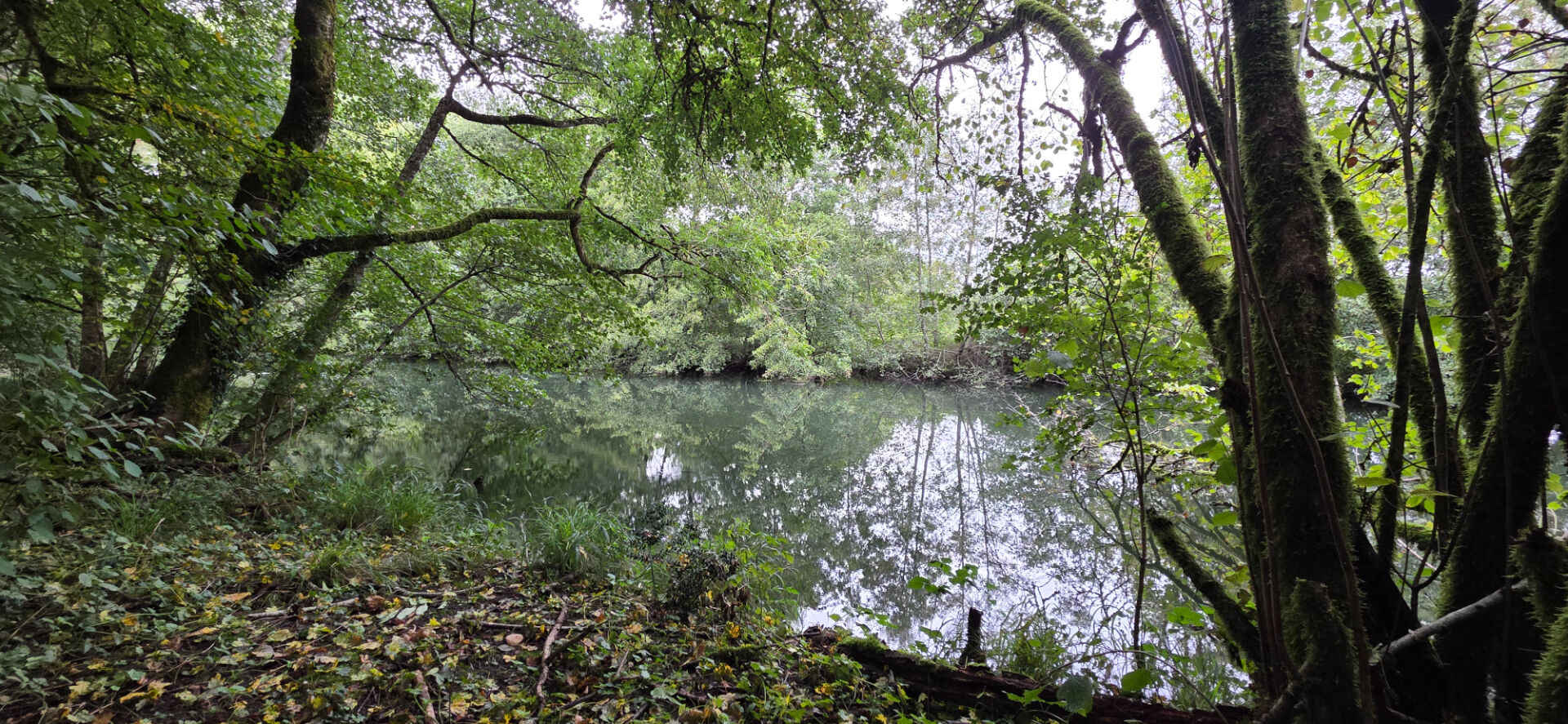 Photo Terrain de Loisirs au bord de la Charente 25 m de Rive Privative image 1/4