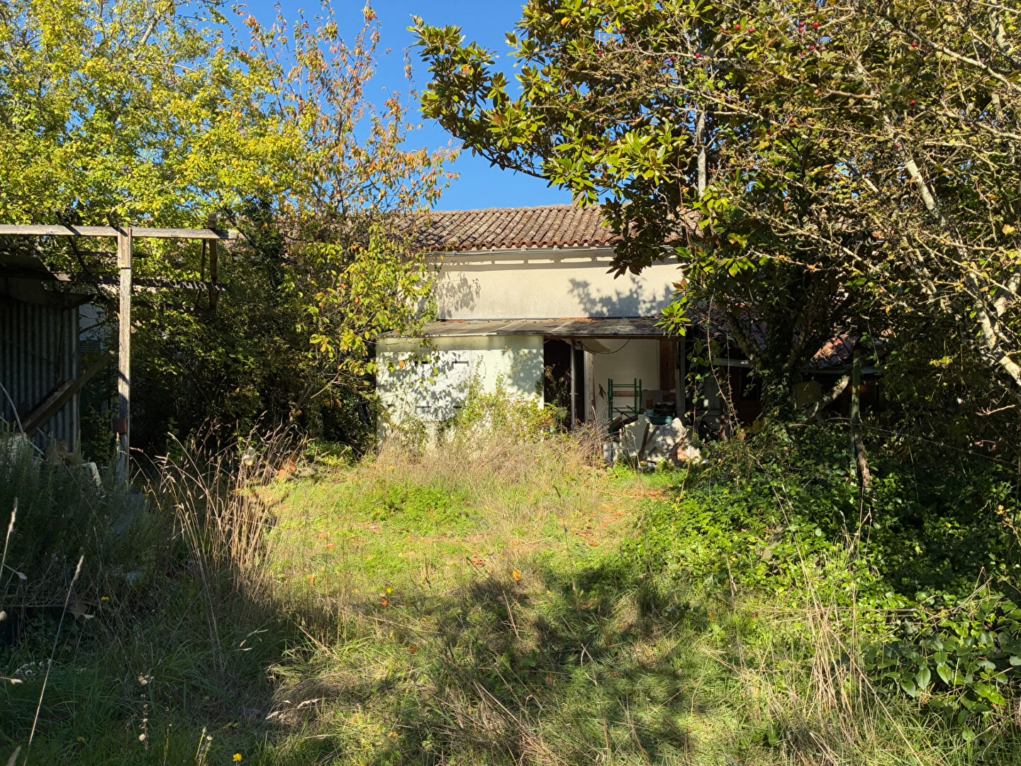 Photo Maison à vendre à Blanzay - image 4/6