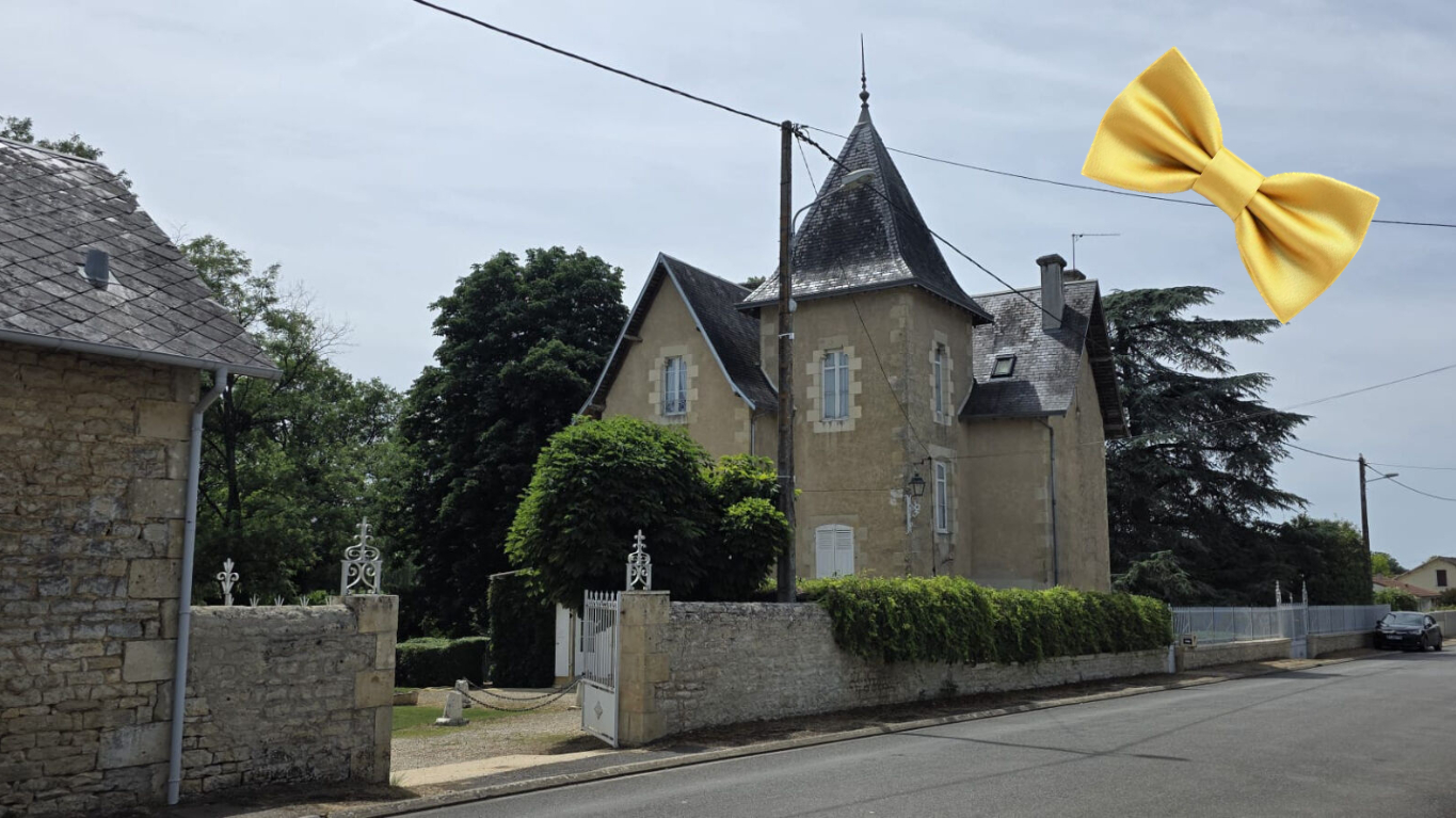 Maison de maître 238m², 5 chambres, Piscine, Dépendances, Terrain ? Pleuville (16)