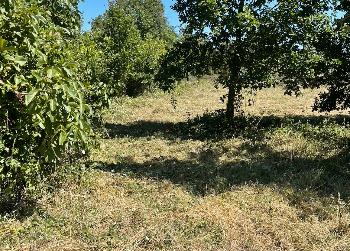 Terrain constructible viabilisé de 700 m² à Voulême
