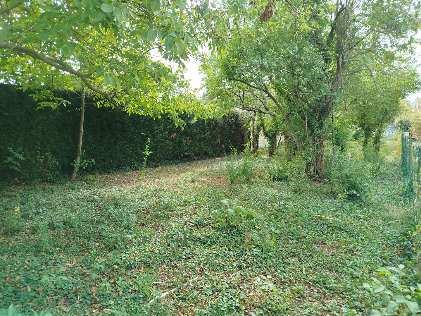 Agence immobilière de ERA IMMOBILIER CHAUMONTEL