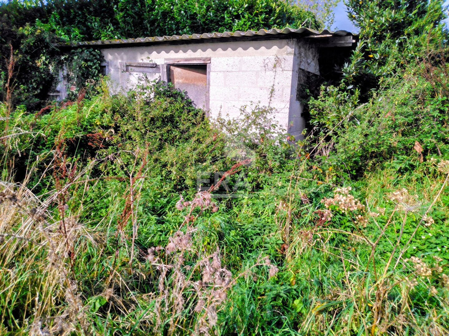 Photo Terrain viabilisé - Bellengreville 1353m² image 6/6