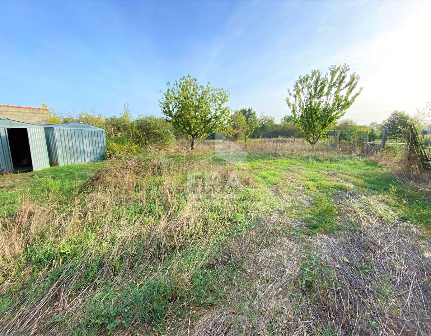 Photo 1533m2 - Noé image 4/6